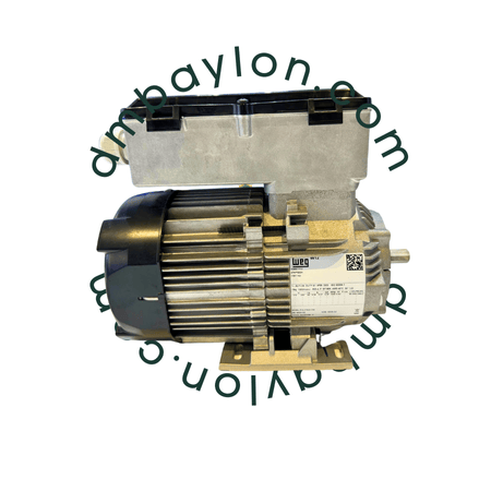 WEG Motor Single Phase